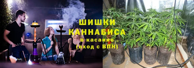 где можно купить наркотик  Кущёвская  Канабис Amnesia 